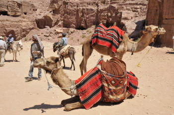 Jordanie, <br> terre de trésors légendaires